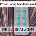 Power Spring Mundflüssigkeit 28